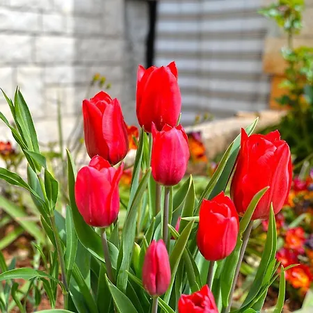 Apartment Vilim 2226 Pula