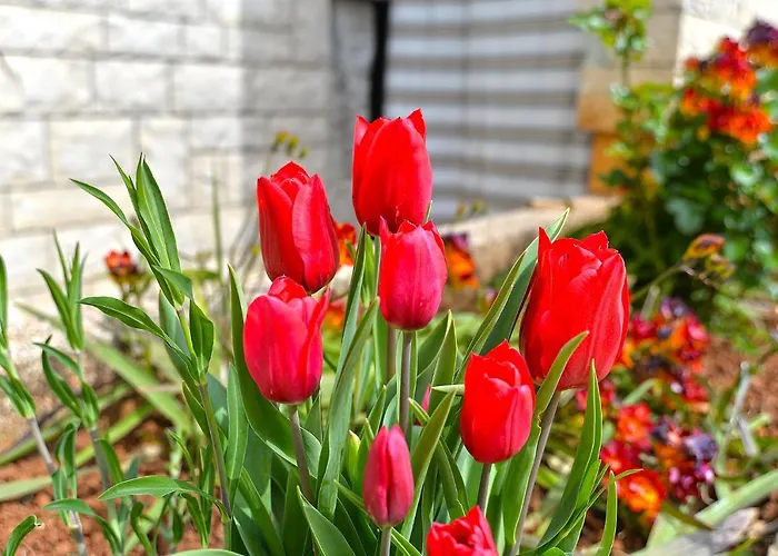 Apartman Vilim 2226 Póla